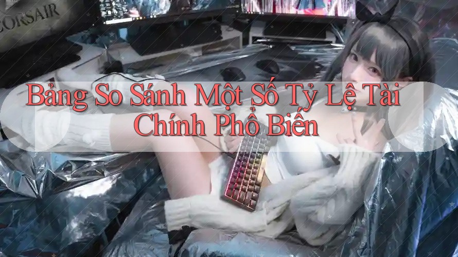 Bảng So Sánh Một Số Tỷ Lệ Tài Chính Phổ Biến Bảng So Sánh Một Số Tỷ Lệ Tài Chính Phổ Biến
