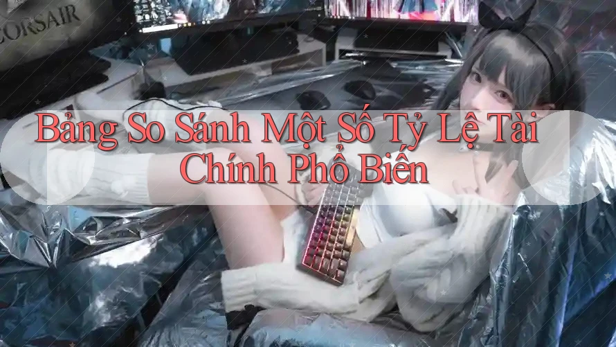 Bảng So Sánh Một Số Tỷ Lệ Tài Chính Phổ Biến Bảng So Sánh Một Số Tỷ Lệ Tài Chính Phổ Biến