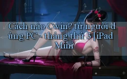 Cách nào Cwin từ người dùng PC   tháng thứ 3 iPad Mini