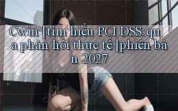 Cwin tìm hiểu PCI DSS qua phản hồi thực tế phiên bản 2027