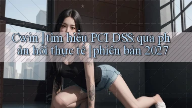 Cwin tìm hiểu PCI DSS qua phản hồi thực tế phiên bản 2027