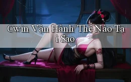 cwin vận hành thế nào tại sao
