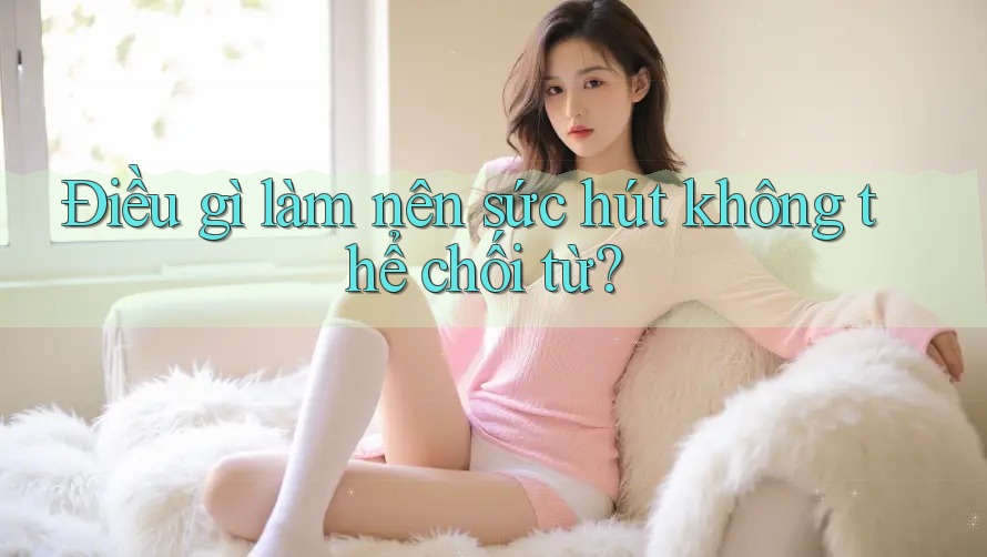 Điều gì làm nên sức hút không thể chối từ?