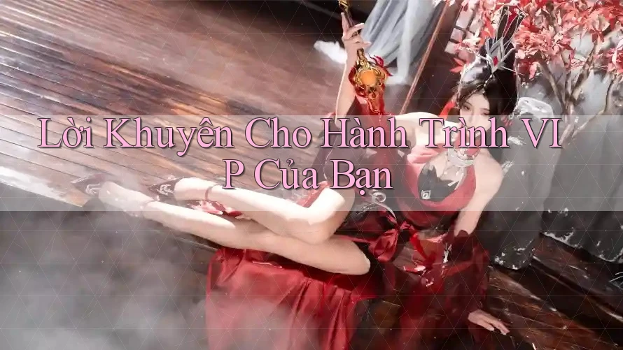 Lời Khuyên Cho Hành Trình VIP Của Bạn