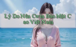 lý do nên cwin bảo mật cao việt nam