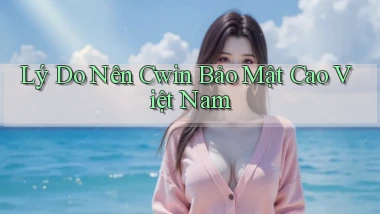 lý do nên cwin bảo mật cao việt nam
