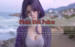 Phản hồi Poker