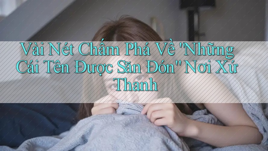 Vài Nét Chấm Phá Về “Những Cái Tên Được Săn Đón” Nơi Xứ Thanh