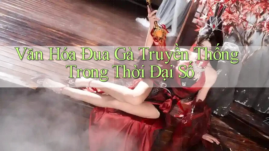Văn Hóa Đua Gà Truyền Thống Trong Thời Đại Số