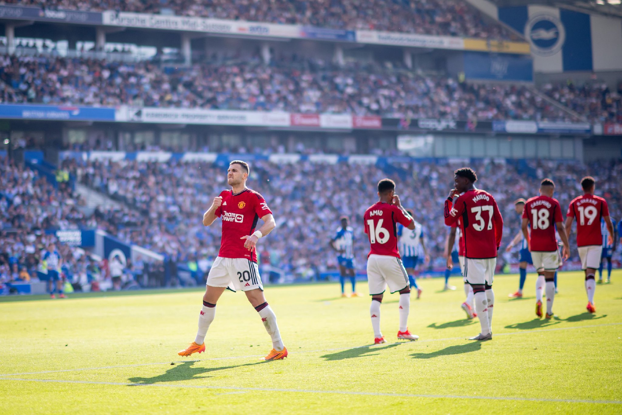 许多年轻球 许多年轻球